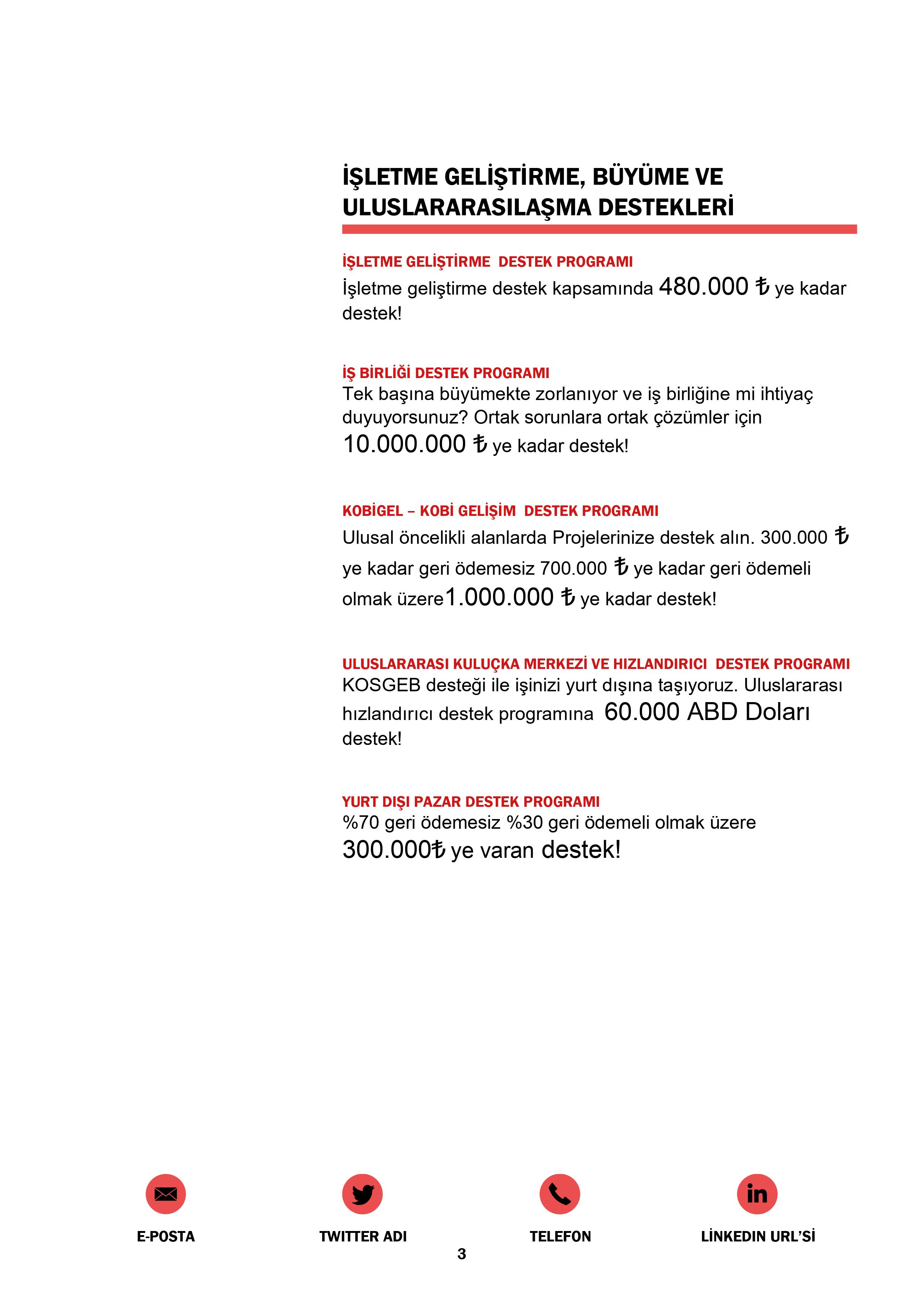 İşletme Geliştirme Büyüme ve Uluslararasılaşma Destekleri